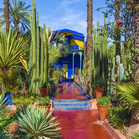 ysl garden|jardin majorelle entrance fee.